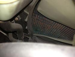 Is this radiator corrosion an immediate problem?-radbott.jpg