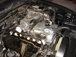 where are the Transmission hoses to radiator for cooling it?-lines.jpg