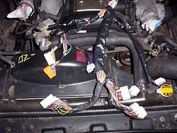 1jzgte Wiring Info!!!!!!!!-my1j_0152.jpg