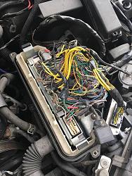 2001 Lexus is300 NA-T issues-15909860_1627755300585061_934484754_n.jpg