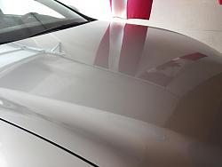 Paint protection decision-img_0136.jpg