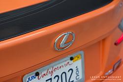 TVD or Not-rcf-carbon-spoiler-2.jpg