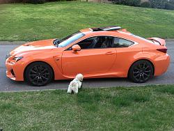 Pics of Your RC F Right NOW!-image.jpg