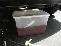 Coolant DIY-img_0674.jpg