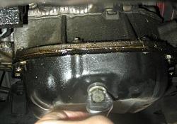 DIY Oil Change-sector70272.jpg