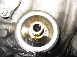 DIY Oil Change-img_3618.jpg