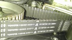 Has this timing belt been changed?-imag0650.jpg