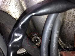 RX300 knock sensor replacement DIY-aic-what-size-torx-socket.jpg