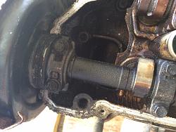 2003 RX300 Engine Compatibility-image_3.jpeg