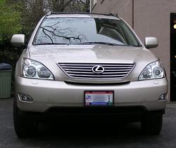 2008 Rx grill different then 04?-rx-tc-grille.jpg