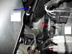 2009 Rx 350: What's The White Plastic Tank Under The Battery ?-lexus_003.jpg