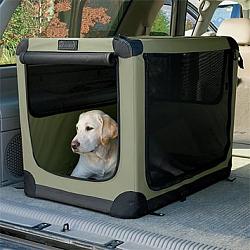 Dog in back-dog-crate.jpg