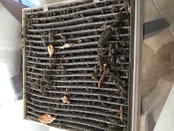 Foam in the in-cabin air filter-img_0953-1-.jpg