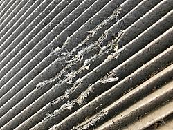 Bad Smell - Find Source? 2005 RX 330-chewed-heater-filter.jpg