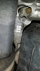 DIY Coolant Flush (partial) pics RX330-2005_rx330-rear_engine-drain_plug.jpg