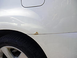 Small Rust Spots-rust2.jpg