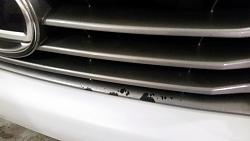 Paint flaking off grille - 2013 RX-rxgrille.jpg