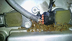 Bizarre Coil/Harness Failure!!! Any Ideas???-harness1.jpg