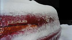 SC's in the SNOW.    Please share......-03.jpg