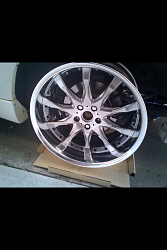 updated pics of levie's soarer-work-wheels.png