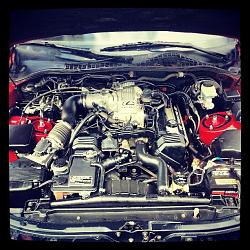 ***Post Up Your Engine Bay Pics***-engine.jpg