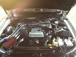 ***Post Up Your Engine Bay Pics***-engine1.jpg