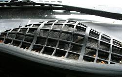 windshield cowl vent cover, should this be in there?-p1010002-windshield-cowl-vent-cover-mystery-item.jpg