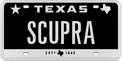 Vanity Plate Question-scupra.png