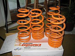 Tanabe Tt Gf210 Springs 0 Shipped-springs1.jpg