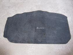 WTB: trunk mat-trunk.jpg