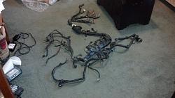 Soarer engine harness for auto trans-001.jpg