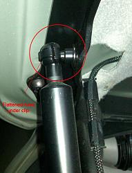 New Trunk Lift Supports-trunkstrut2.jpg