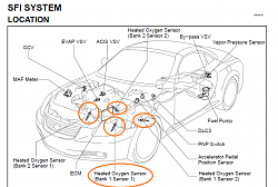 Oxygen Sensors-capture.png