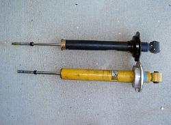 Bilstein Sports and L-tuned Shocks:  Pics side by side-bilsltrr.jpg