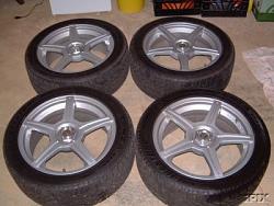 17&quot; Raging Harts For Sale-pic-1.jpg