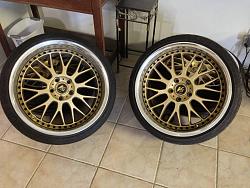 FS: 19&quot; Gold Work VS-XX-img_3604.jpg