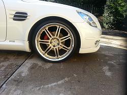 20&quot; Work Varianza T1s  (Light gold)-20151111_145146.jpg