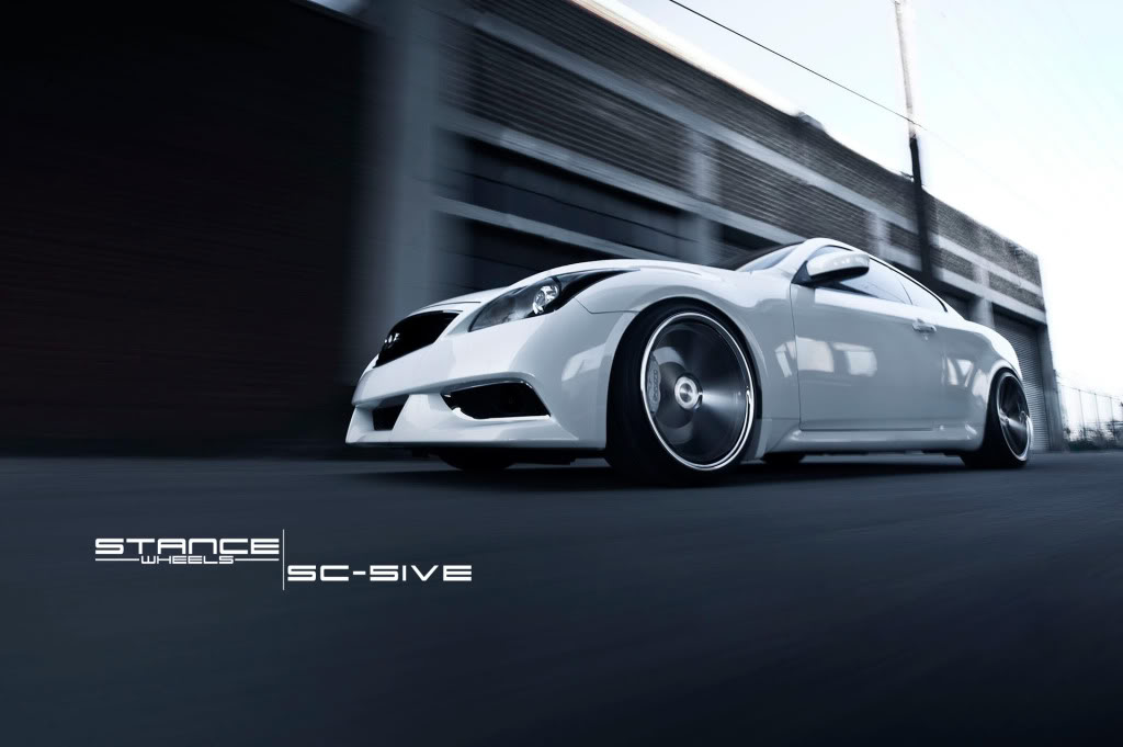 Name:  stance3.jpg
Views: 711
Size:  63.2 KB