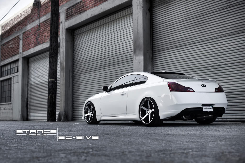 Name:  stance2.jpg
Views: 754
Size:  142.9 KB