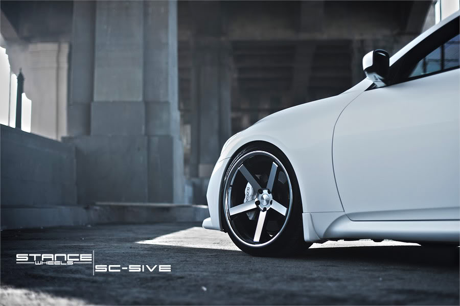 Name:  stance10.jpg
Views: 731
Size:  60.3 KB