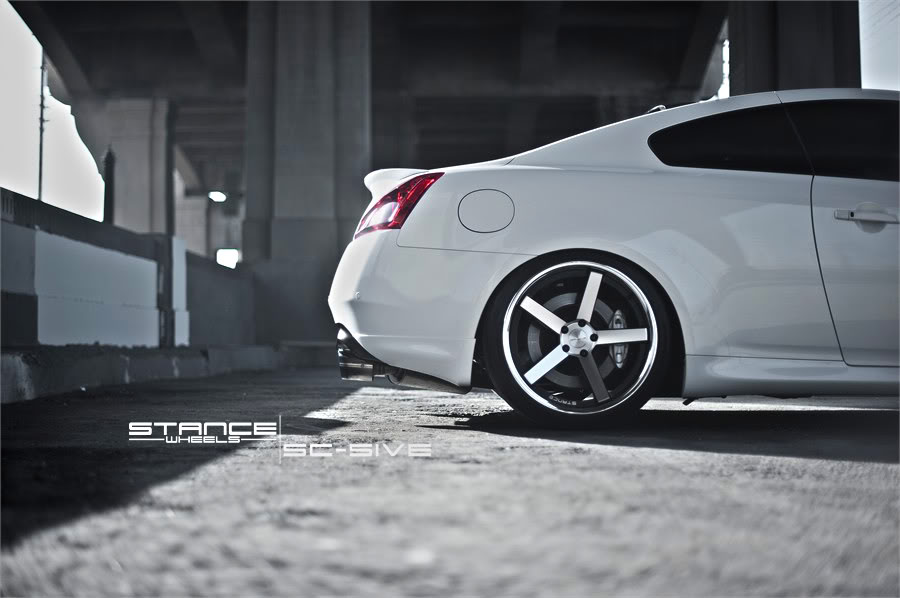 Name:  stance7.jpg
Views: 666
Size:  64.1 KB