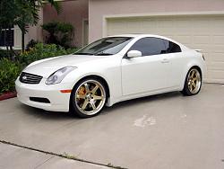 gold rims-11.jpg