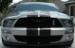 2008GT500's Avatar