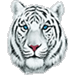 WhiteTiger's Avatar