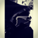 robmarvray's Avatar