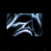 havokprod's Avatar