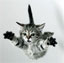 K4APB's Avatar