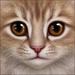 MrsGore's Avatar