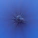 TheCap's Avatar