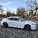 dallo28's Avatar